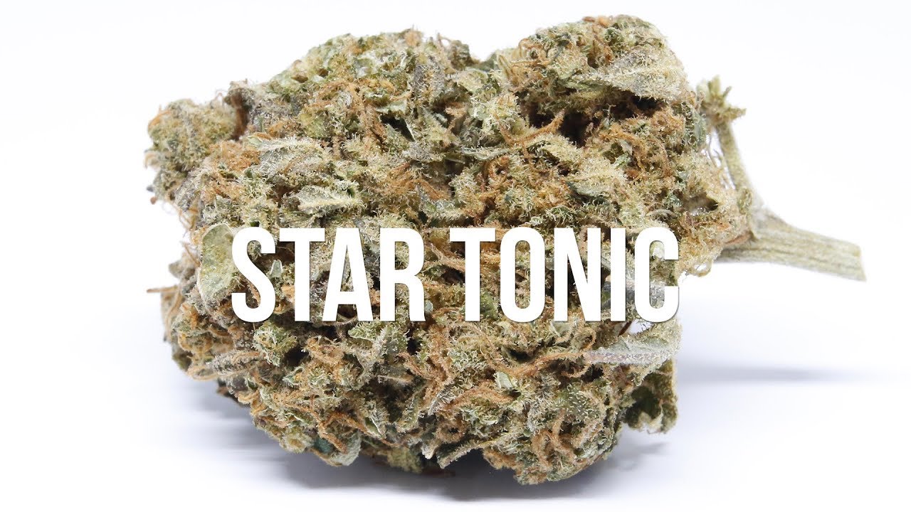 Star Tonic (Cannatonic) Strain Review