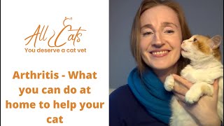 Arthritis  What you can do at home to help your cat
