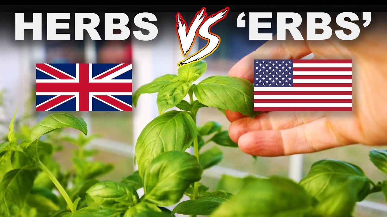 Download Why Americans don't pronounce the H in herbs