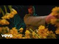 Mitchell Tenpenny Breaking My Heart Official Music Video Mitchell Tenpenny Breaking My Heart Official Music Video