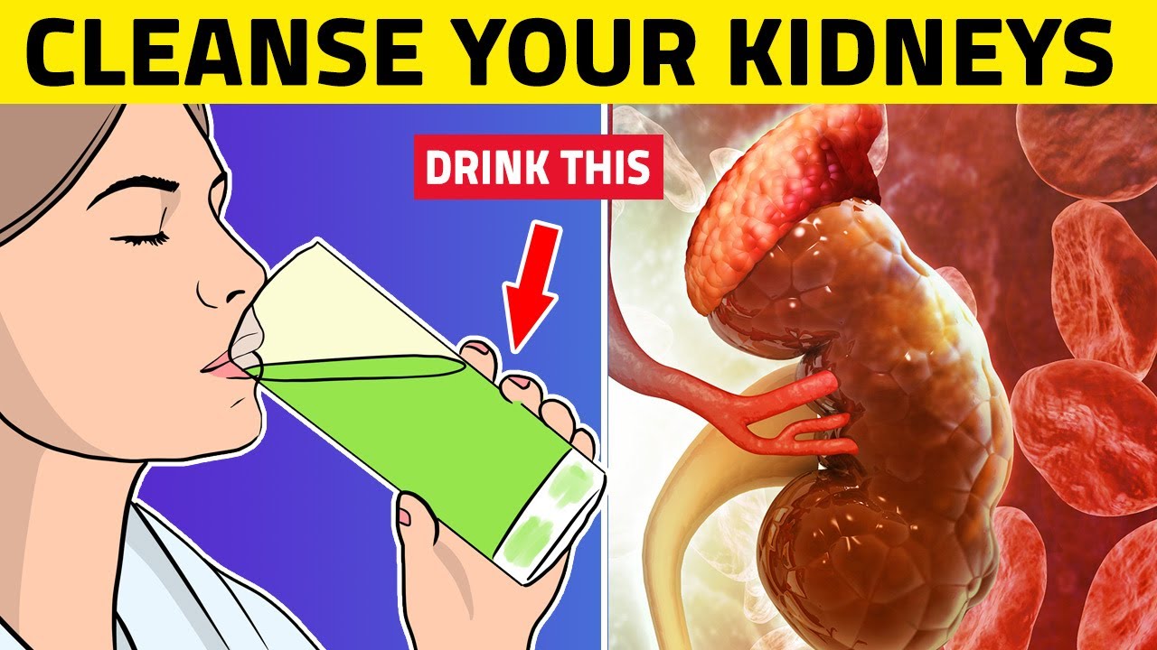 8 Best Drinks That Can HEAL Your Kidneys! YouTube