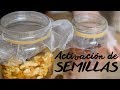 Activación de semillas / ¿Cómo y por qué?  (más nutritivas y mejor digestión)