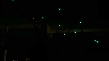 DIY + PHYSICAL COMPUTING | The Sound Tree Ep.5