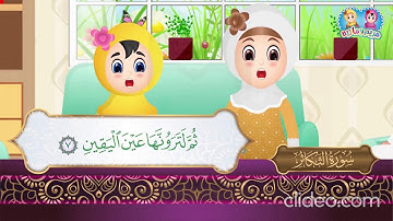 سورة التكاثر من آية 1 إلى آية 8 مكررة