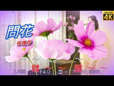 問花（龍千玉好歌）千首記詞歌后徐瑰珍108年5月16日