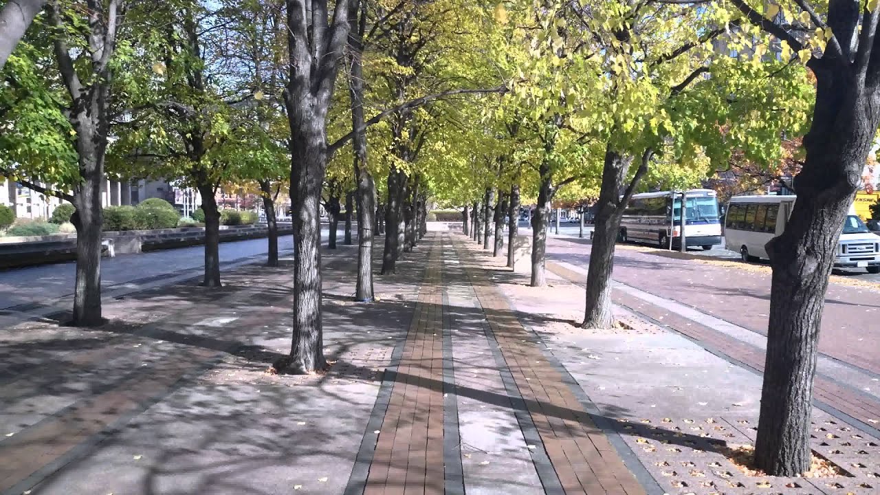 gaming logo Sony Xperia Z3v 4k UHD Video Sample