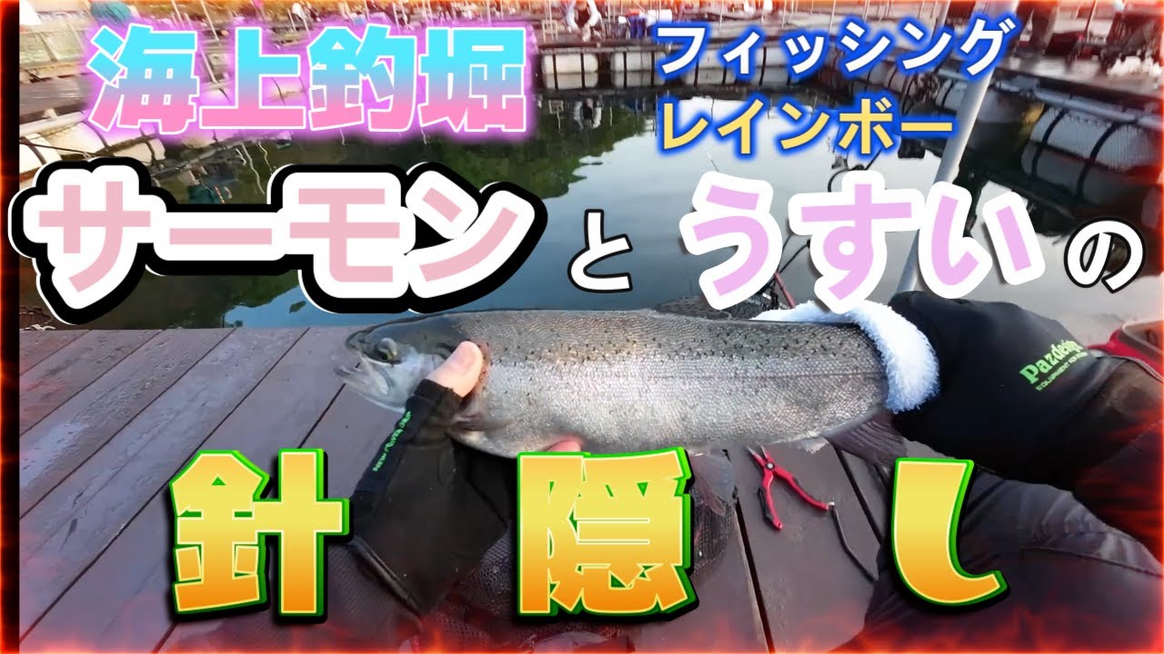 海上釣堀フィッシングレインボーサーモンとうすいの針隠し