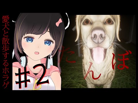 【たんぼ】台風が過ぎ去った夏の夜に愛犬のぼんたとたんぼを散歩する＃ ２【ホラーゲーム/＃のんなま】