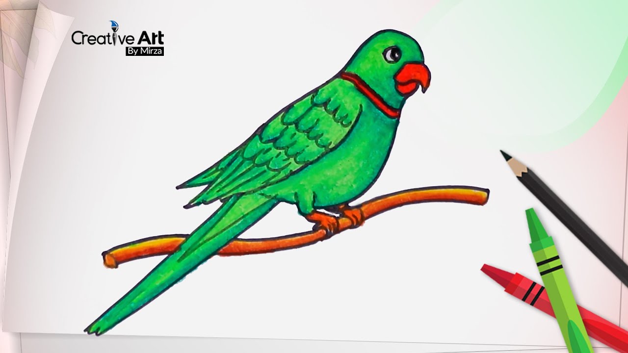 How to draw a Parrot | Parrot drawing easy ideas | Pencil sketch for  beginners - YouTube