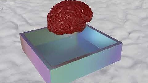 Blood Brain Falling Into Pearlescent Box Over Snow. Blender Flip Fluid Simulation