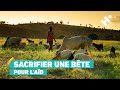 Le cheminement de votre sacrifice de l'Aïd | Human Appeal France