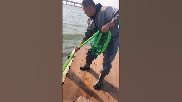 how to throw fishing net Cast net falling Underwater 3
