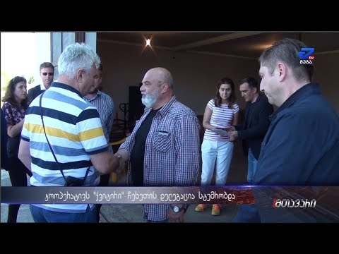 წყალტუბოს სოფელ ქვიტირს ჩეხეთის პარლამეტის დელეგაცია სტუმრობდა