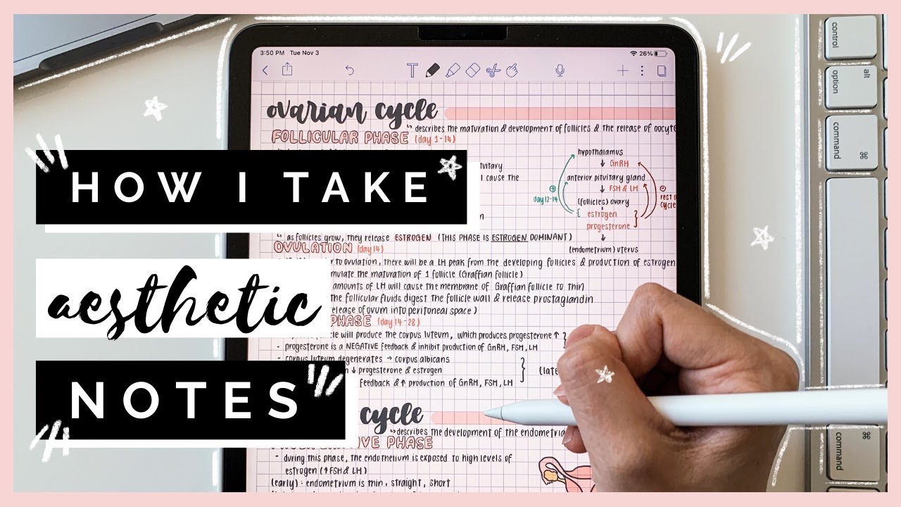 how I take AESTHETIC notes on iPad Pro│Notability ✨