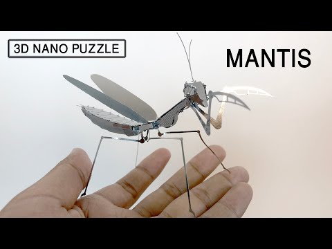 3D Metal Model Kit - Insect Praying Mantis