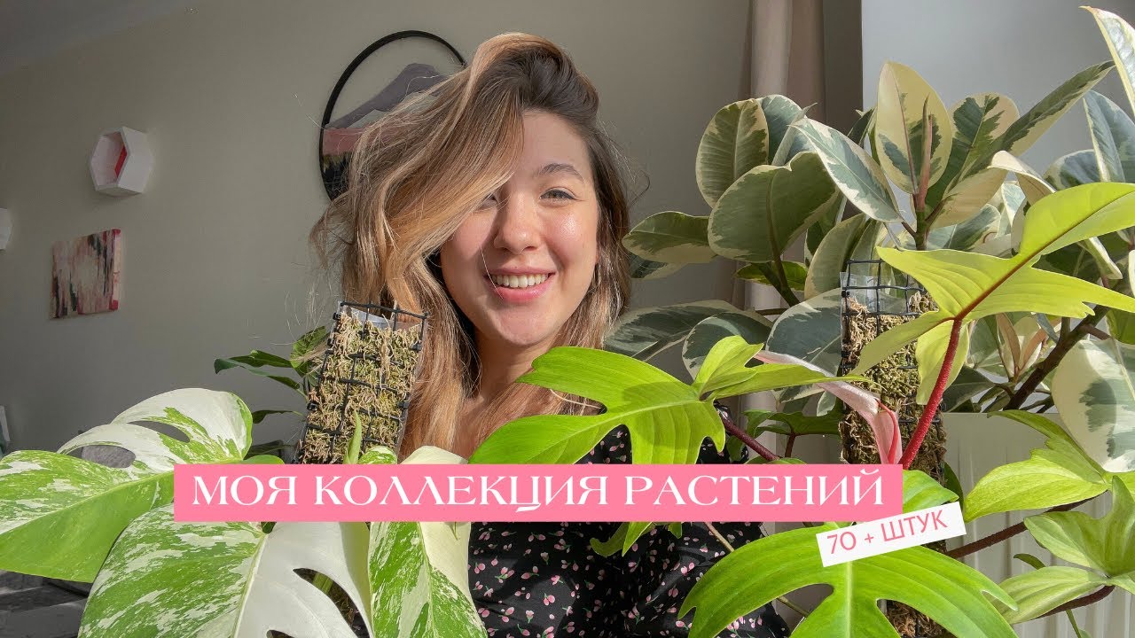Цветочные советы от елены