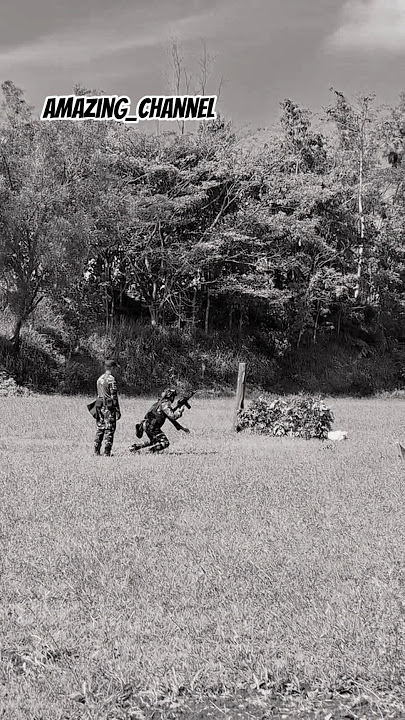 Suara Merdu Tembakan Serbu#tni #tnialsurabaya #army #tnidihatirakyat #fypシ゚viral #tniad #meriam #fyp