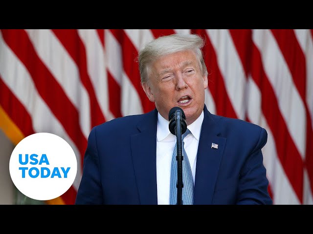 President Donald Trump gives update on coronavirus vaccine development 