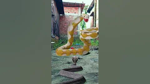 nag nagin snake 🐍 viral video Kinemaster Editing Nurul Vfx Boy Nurul #shorts #youtubeshorts #viral