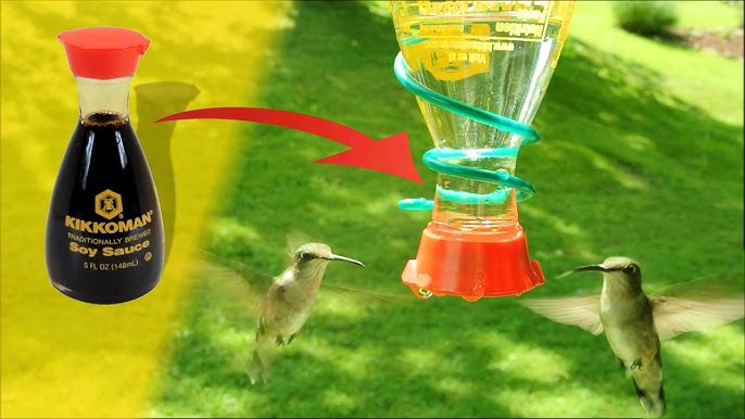 How-to for Hummingbirds - Sneades Ace Home Centers