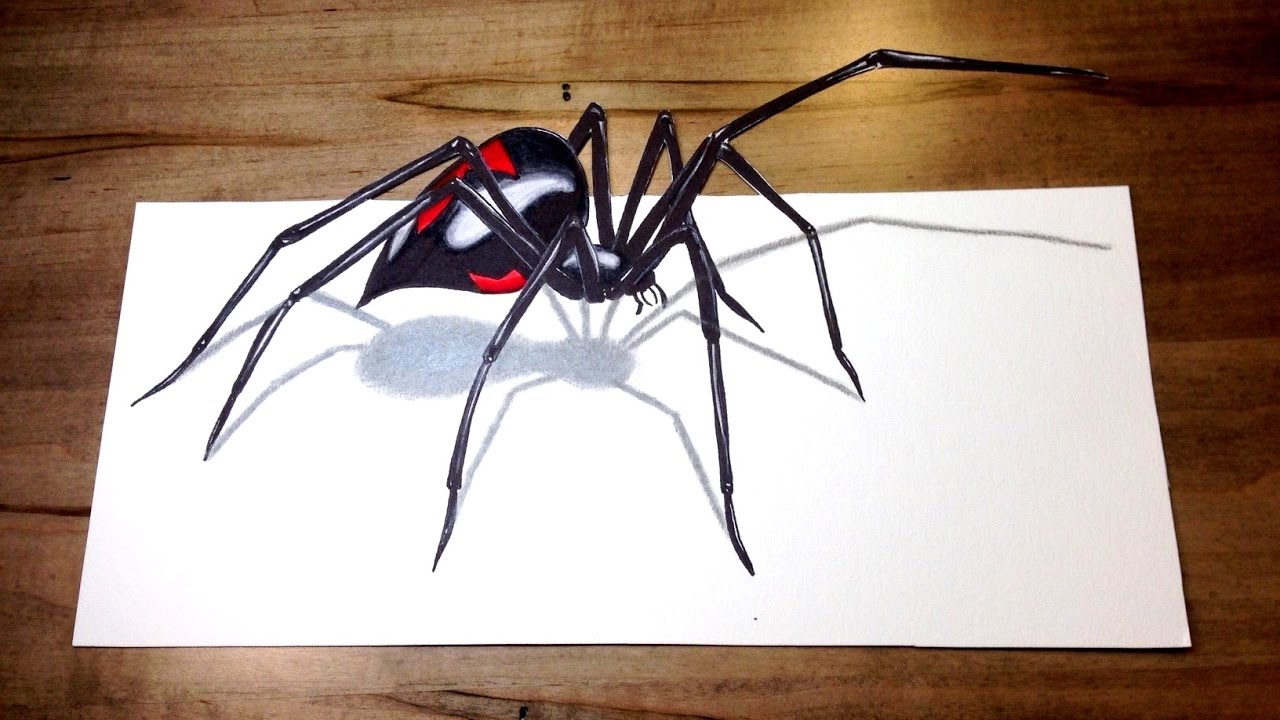 - Black Widow Challenge 3D Spider Drawing Trick Art - YouTube.