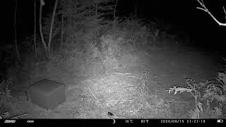 IMAG0005