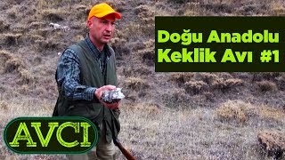 Doğu Anadolu Keklik Avı 2 Avcı 2. Bölüm - Yaban Tv