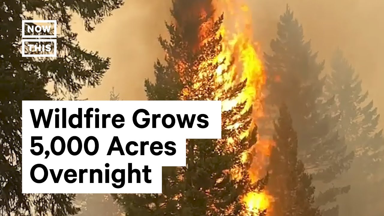 Dixie Fire becomes largest single wildfire in California history