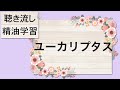 【聴き流し精油学習】