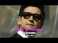 Roy Orbison In Dreams Karaoke