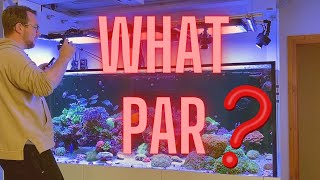 Dream Reef Tank - What PAR am I getting???