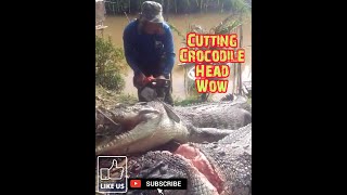 Cutting Crocodile Head| Potong Kepala Buaya
