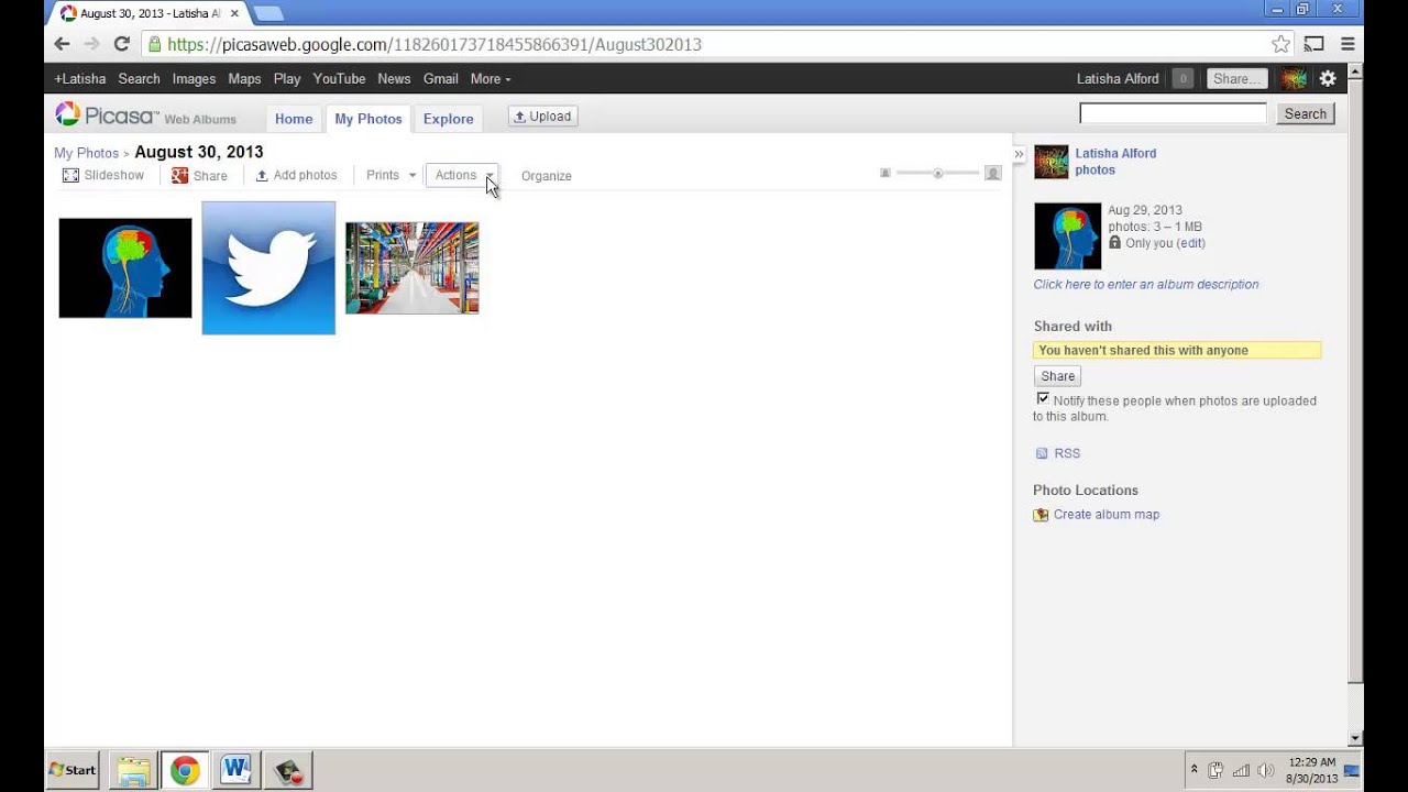 How to Make and Show Image Picture in Picasa Web Album