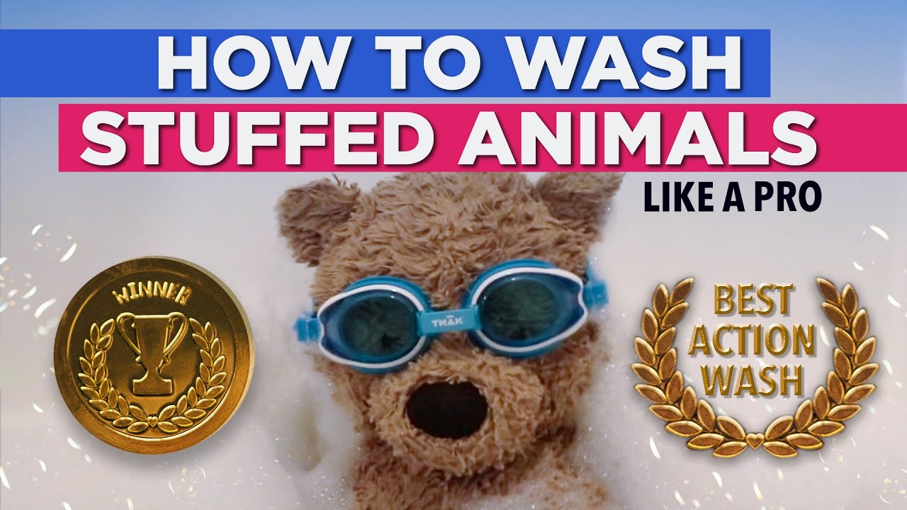 What you need to know about how to wash stuffed animals - Reviewed