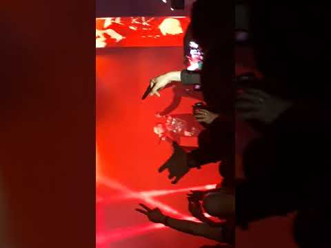 Bug Mafia Arenele Romane 17 03 2018