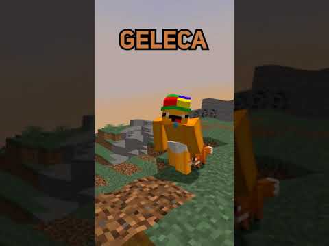 GELECA E GELEIA: