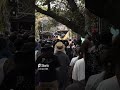【夏木マリ】かっこよすぎ渋すぎた。Sunset LIve 福岡糸島サンセットライブ