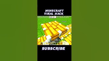 MINECRAFT HACKS #viral #shorts #short #status #hacker