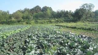 agricoltura biologica cascina Rampina Monticello - LC - porte aperte 15/09/2012