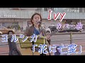ヨルシカ「花に亡霊」 covered by Ivy