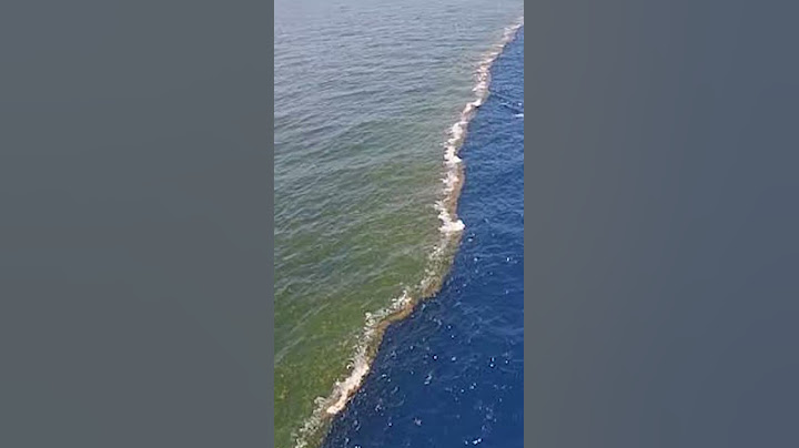 essa é a divisa entre o oceano pacífico e atlântico