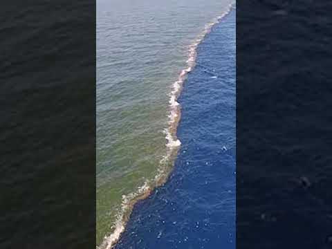 Vídeo: O que toca o oceano atlântico?