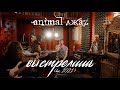 Animal ДжаZ — Выстрелишь (Акустика, Live, 2021)