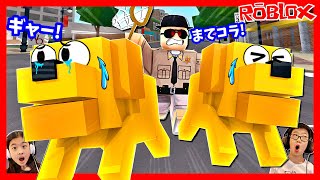 犬になって保健所につかまってしまった😨 ROBLOX Pet Story screenshot 5