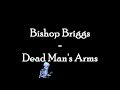 Bishop Briggs - Dead Man's Arms LYRICS