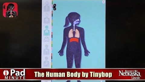 Tech EDGE, Mobile Learning In The Classroom - iPad Minute, The Human Body by Tinybop