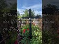 Notre Dame Miraculeuse des Roses de San Damiano en Italie
