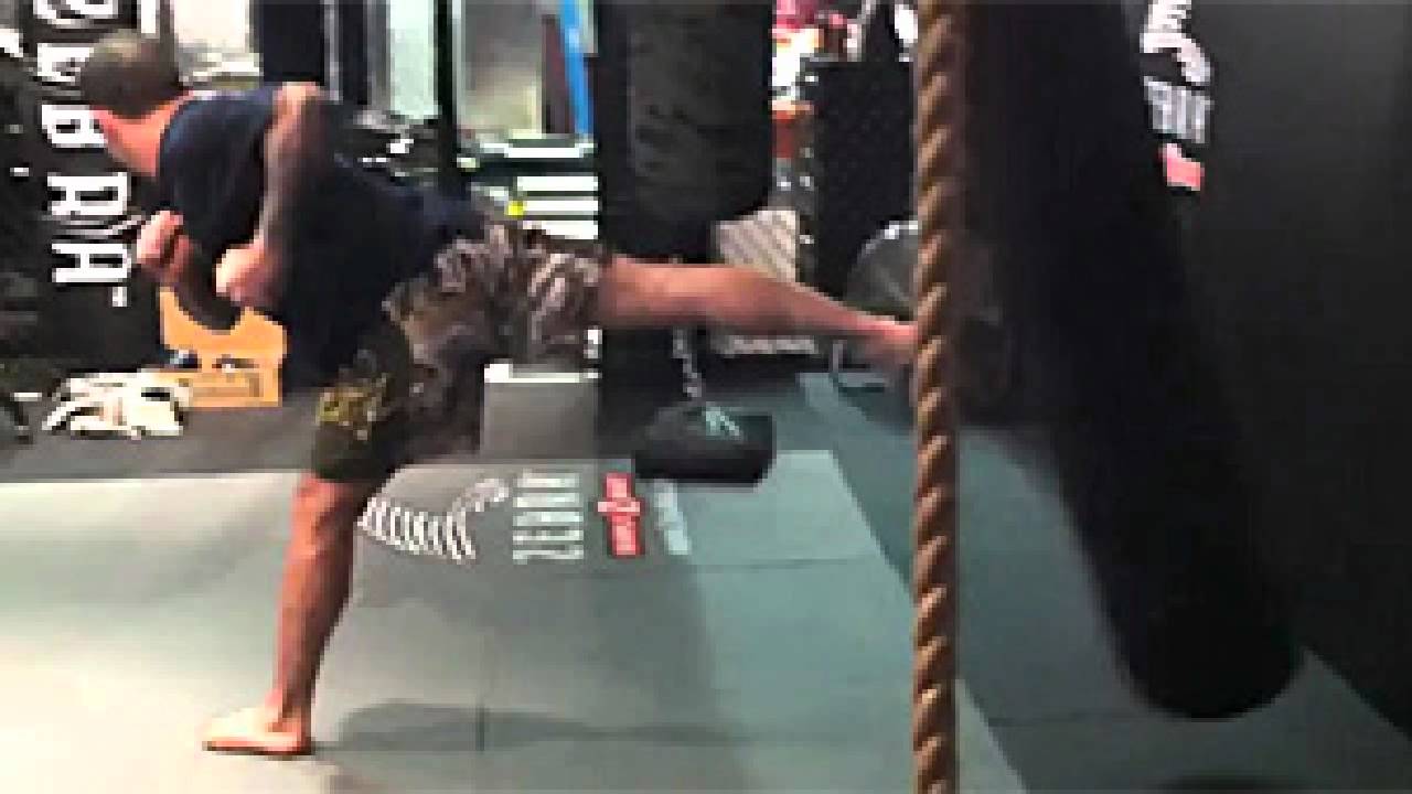 Joe Rogan on kung fu and Martial Arts YouTube