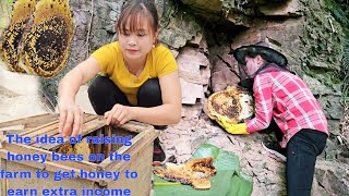 The idea of ​​raising honey bees on the farm to get honey to earn extra income. Peaceful life