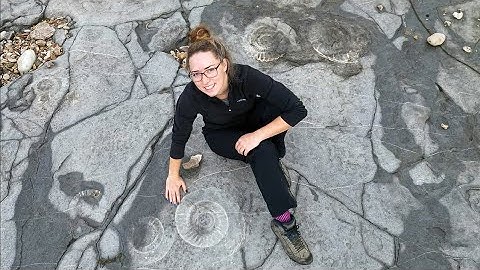 The Ammonite Pavement - Fossil Friday